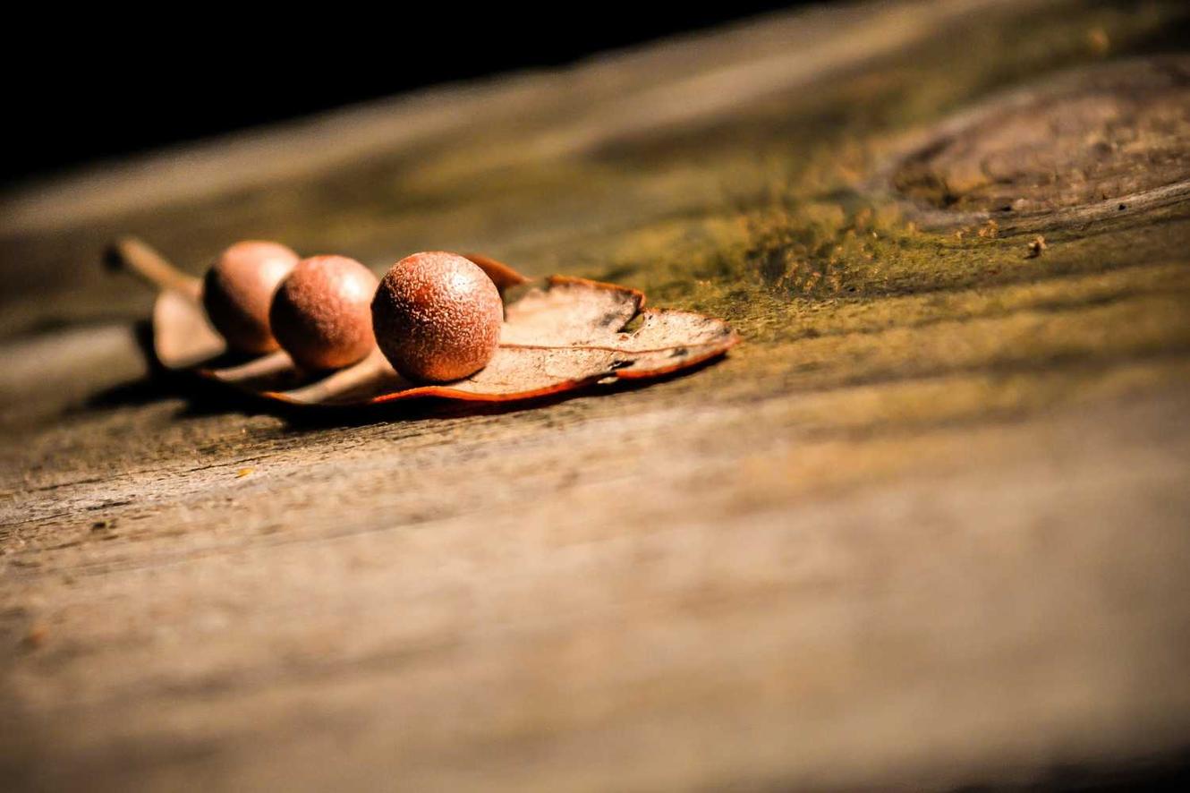 Dolorum modi molestias et et eos commodi aliquid